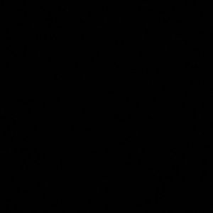 Meet your Posher, Devin